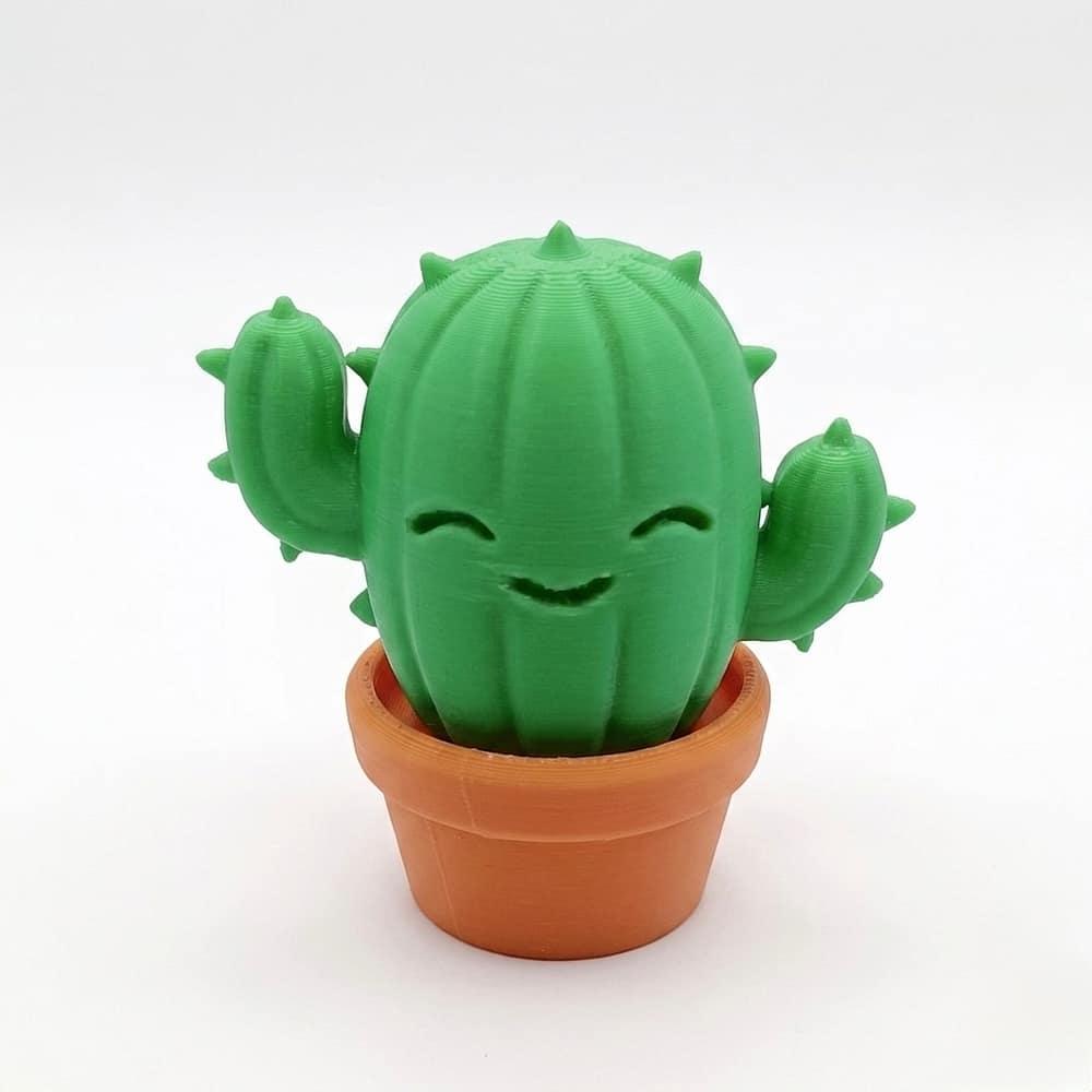 Cactus